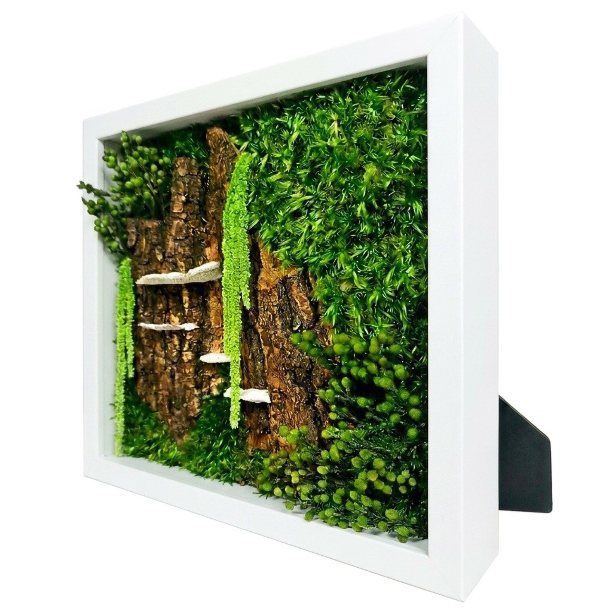 Obraz Z Mechu v bílém dřevěném rámu 27x27 cm mech chrobotek Živý Obraz