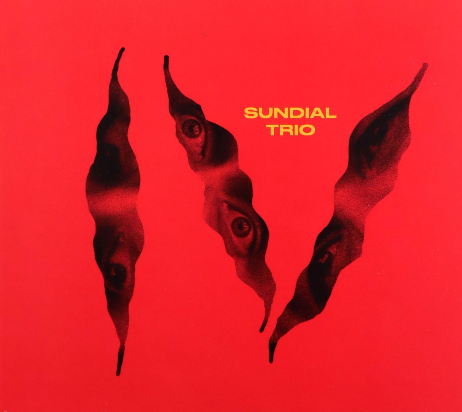 Sundial Trio: IV [CD]