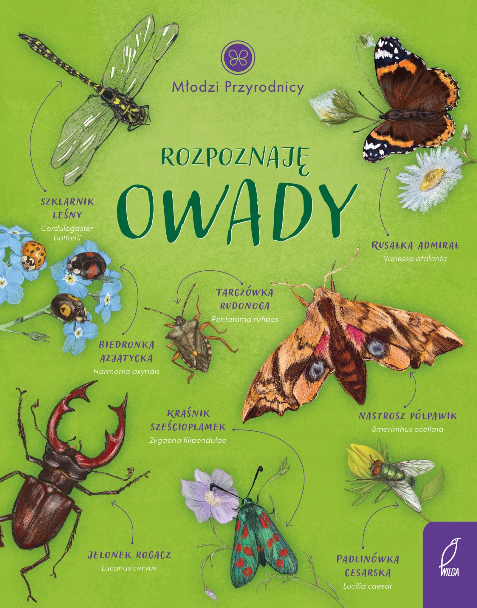 

Rozpoznaję owady. Młodzi przyrodnicy Patrycja