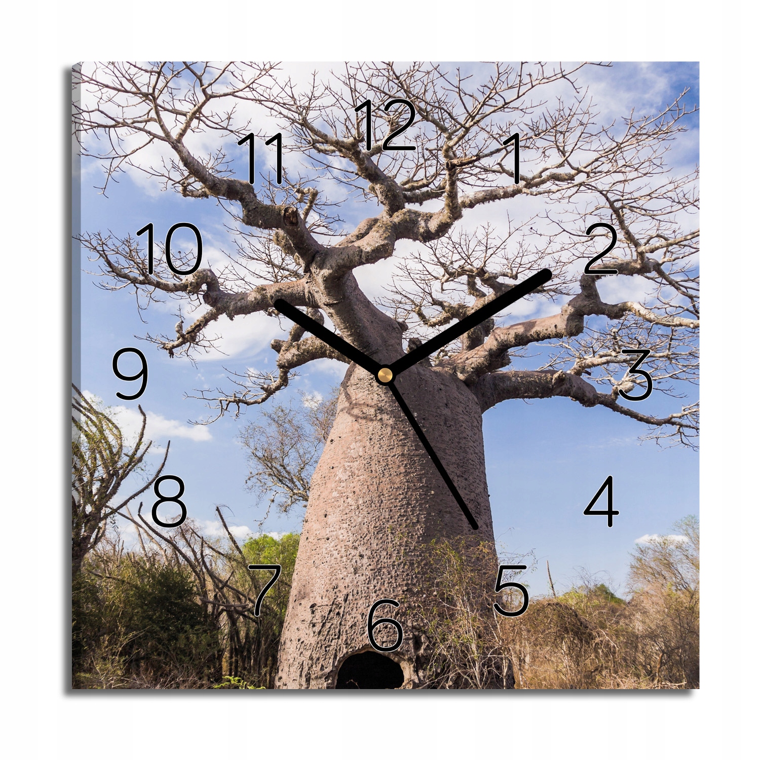 hodiny na plátně Strom baobab nebe 30x30 tiché