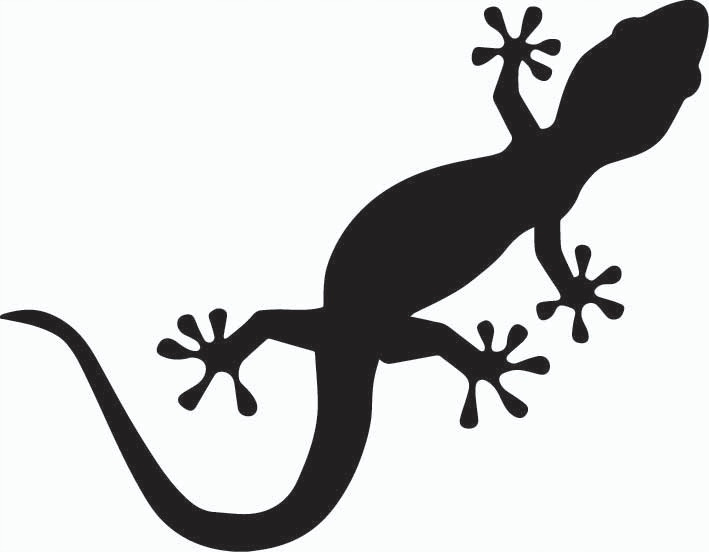 

Naklejka Jaszczurka Gekon Lizard Gecko
