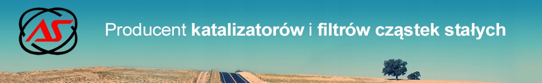 FILTR CZĄSTEK STAŁYCH DPF do TOYOTA RAV 4 III 2.2 Numer katalogowy części FD5087