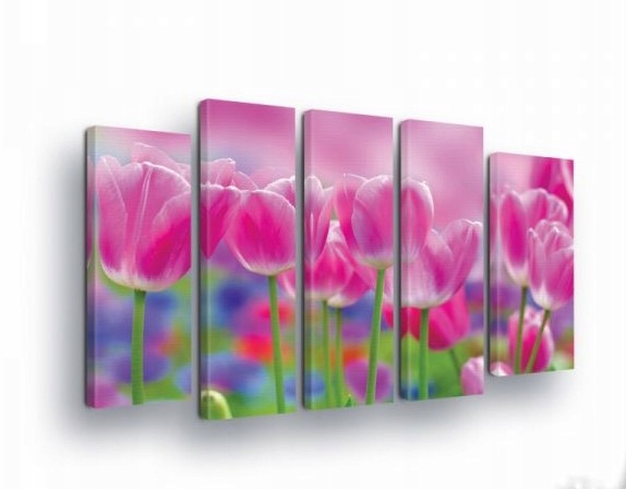 Obraz 150x100 Ružové tulipány jar kvety jemnosť príroda umenie
