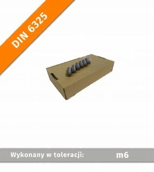 

Kołek walcowy Din 6325 6x24 100szt.