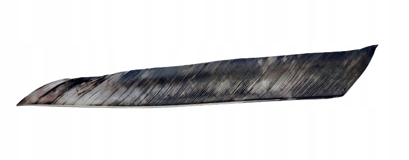 Lotki indycze z całego pióra Gateway Camo