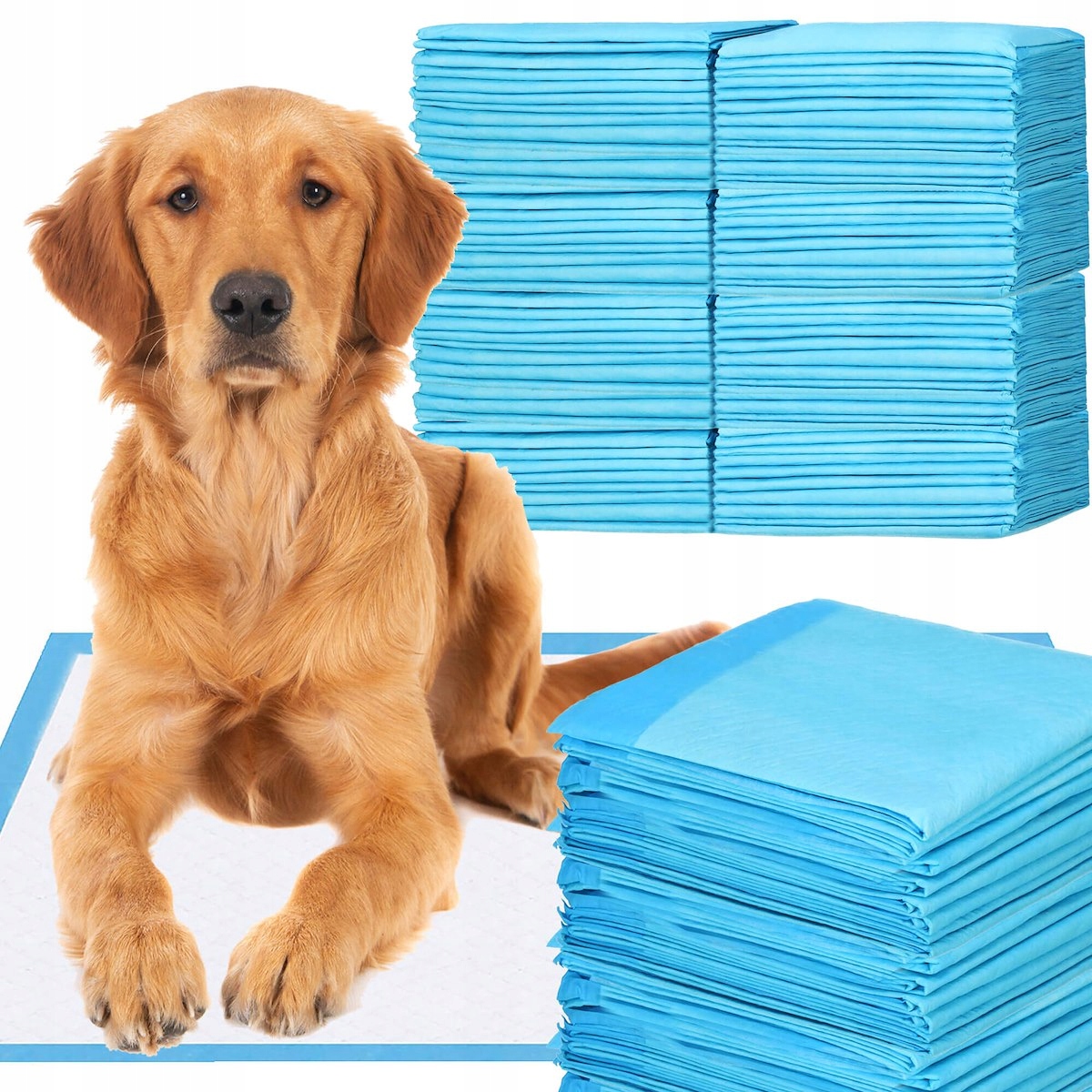 

Podkłady Maty Psa Psów Nauka Sikania 60x90cm x100