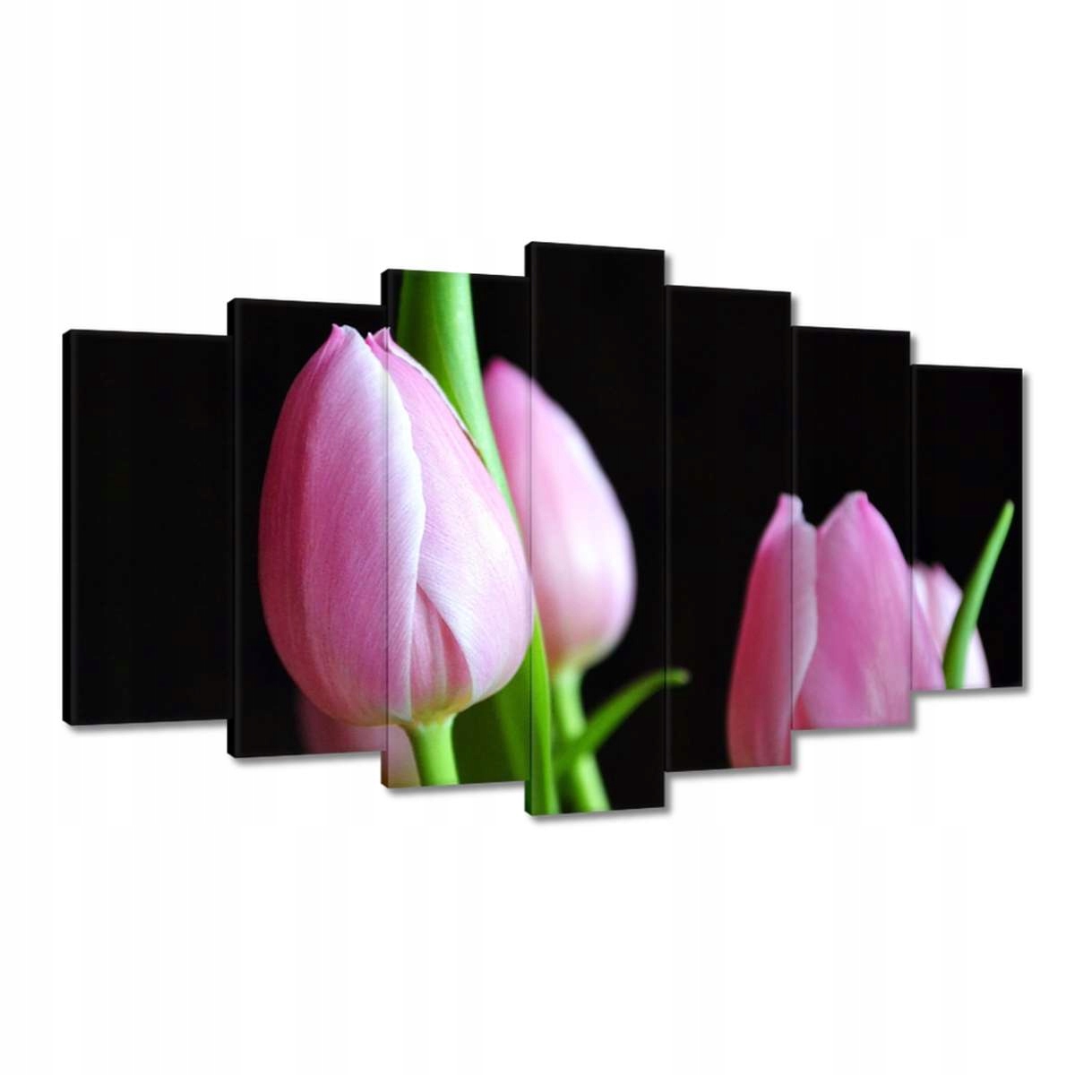 Obrazy 140x80 Fialové tulipány
