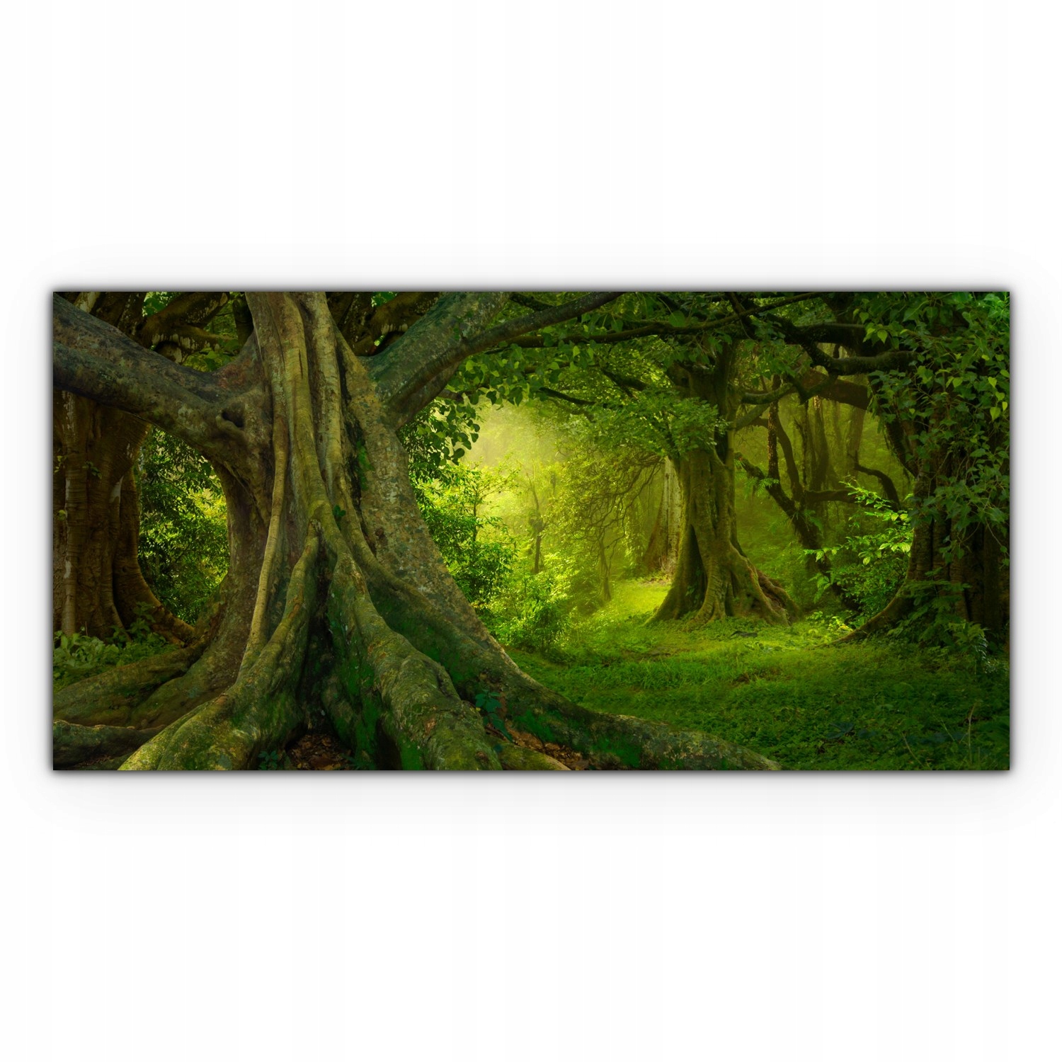 

Canvas na ramie ścienny 100x50 Tropiki Tajlandia