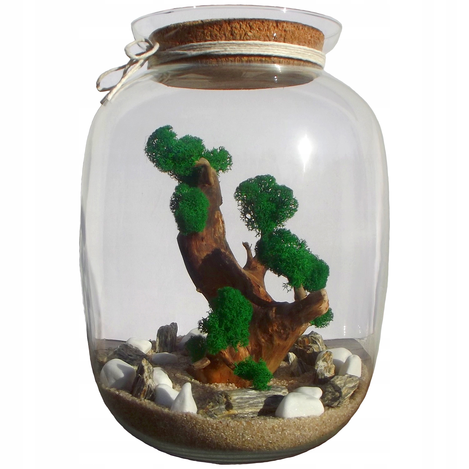 

las w słoiku drzewko bonsai mech chrobotek wys 32