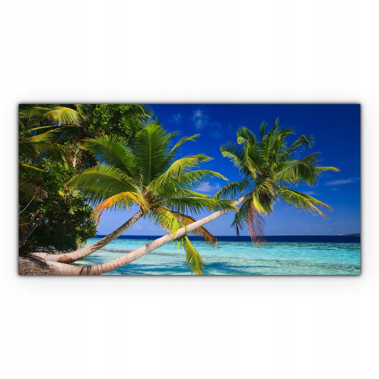 

foto-obraz na płótnie 140x70 Tropiki Palma Morze