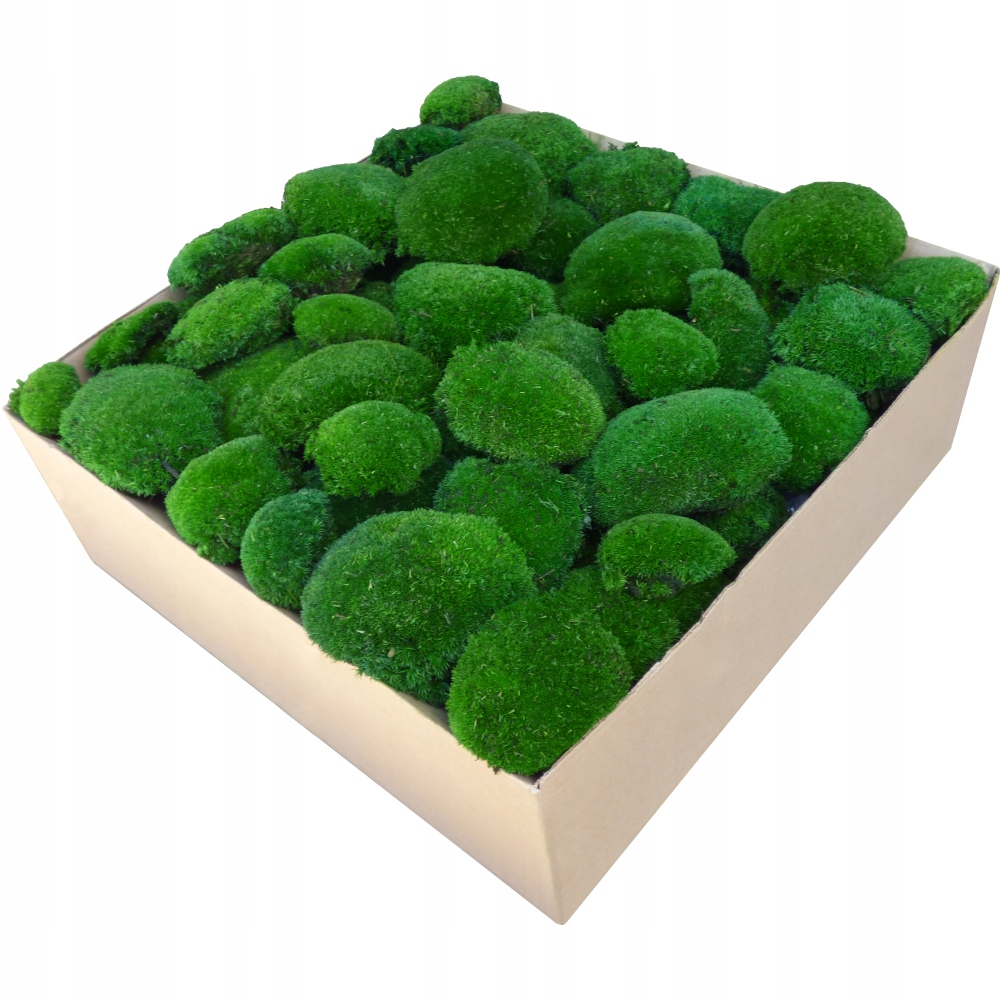 Mech Kępkowy PREMIUM Ciemna Zieleń Karton 0,5m2 Marka inna