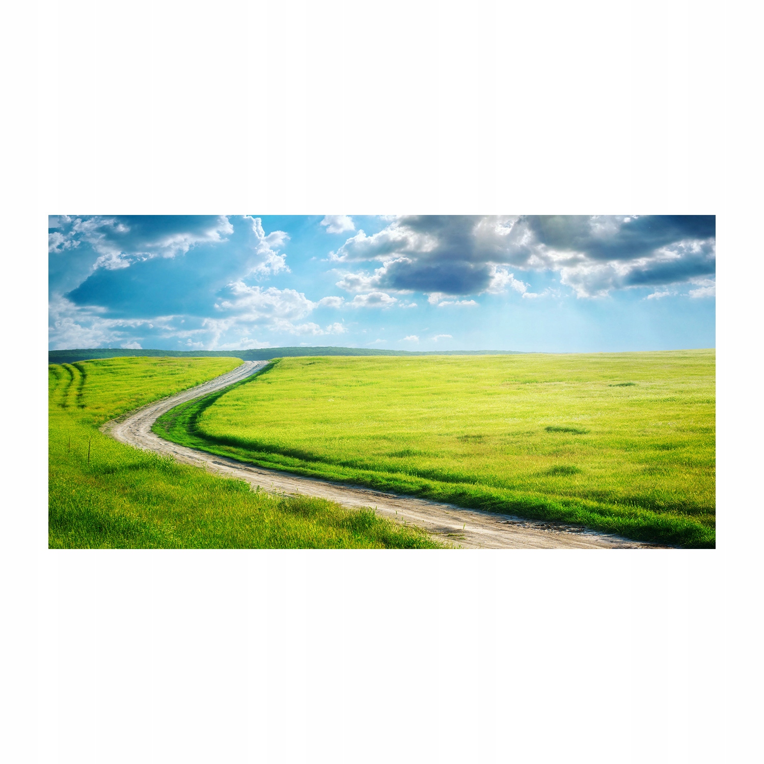 

Foto-obraz akryl Ścieżka na łące zdjęcie 140x70 cm