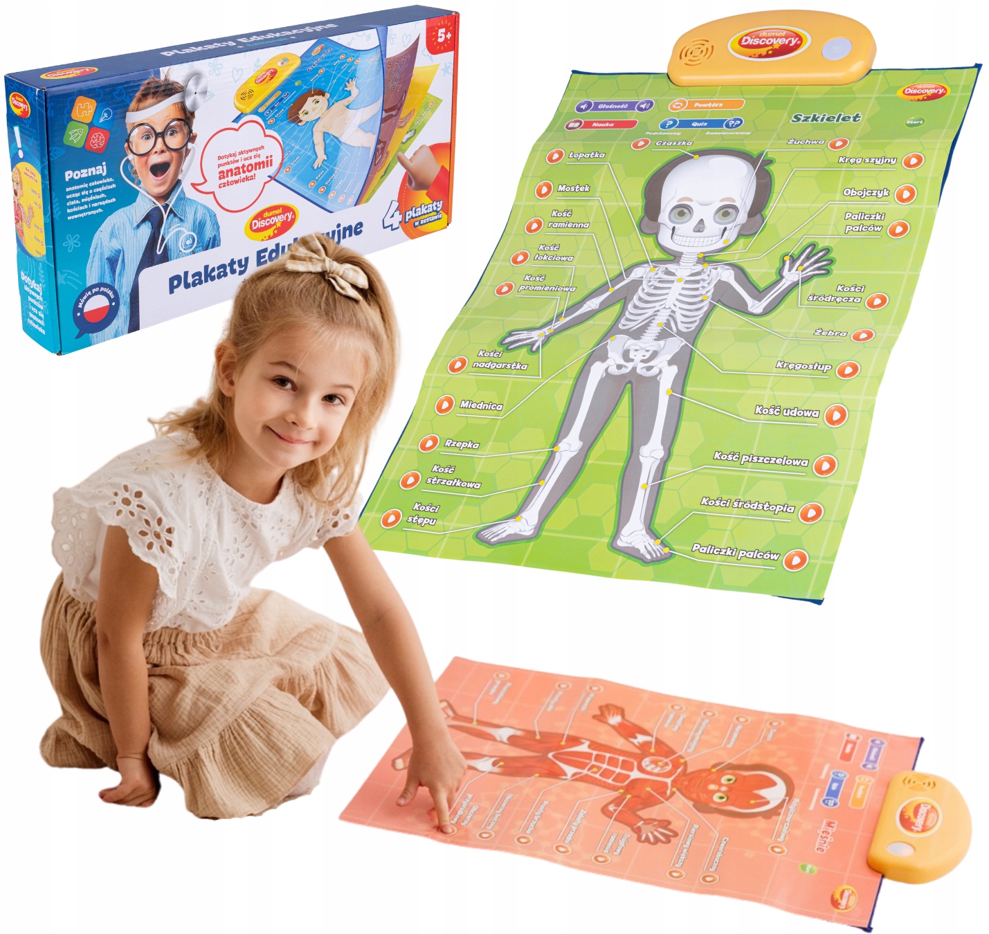 

Dumel Edukacyjne plakaty Człowiek Anatomia 5+