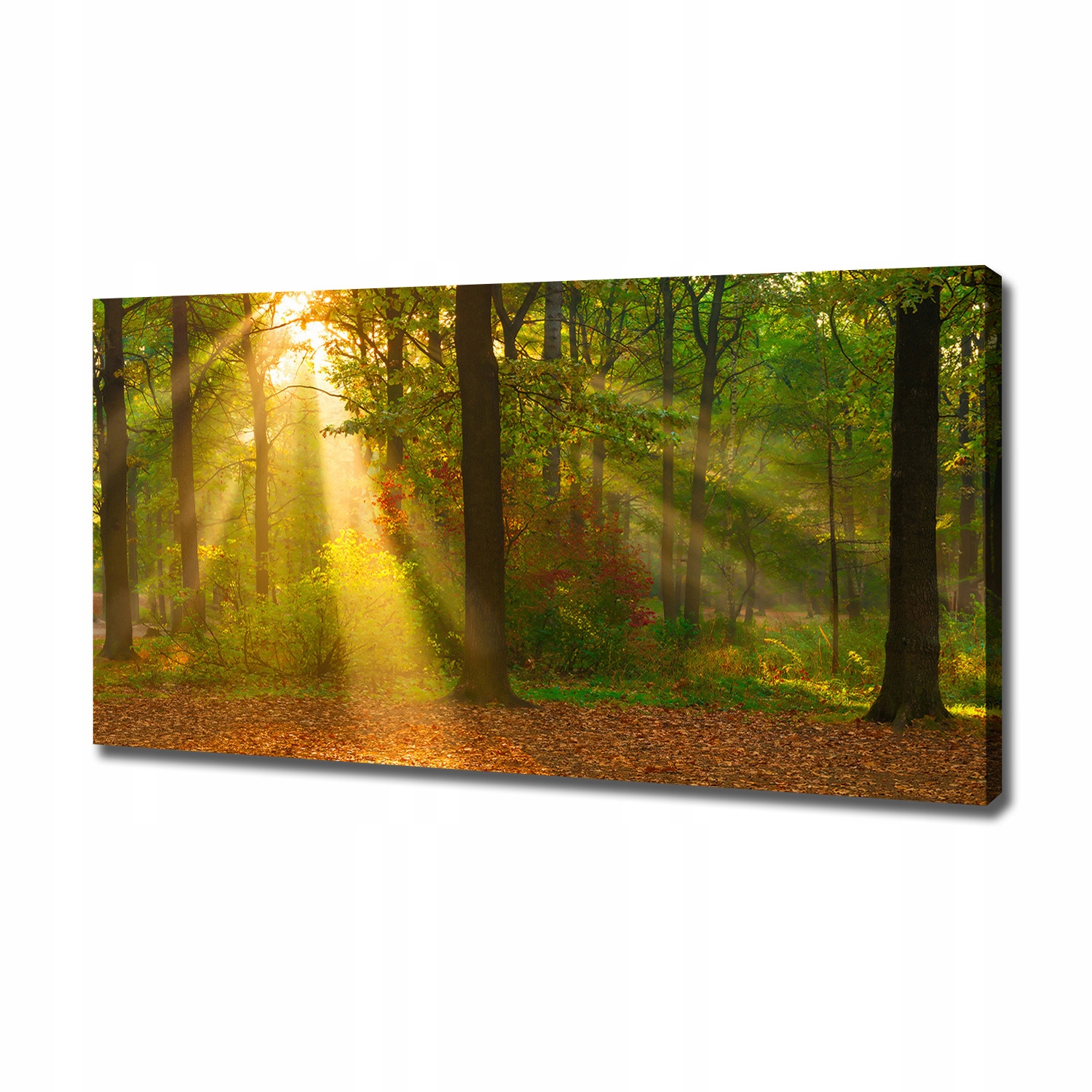 

Duży foto obraz na płótnie Las w słońcu 120x60 cm