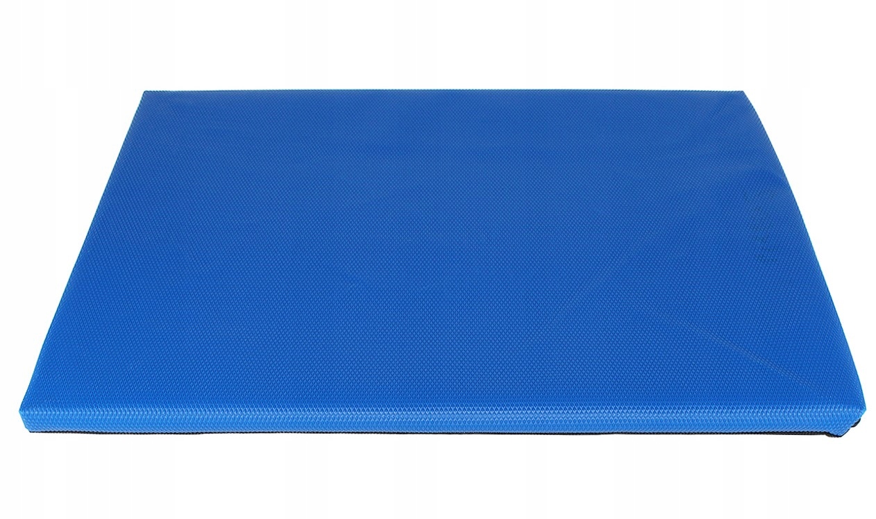 PROFESJONALNA MATA DEZYNFEKUJĄCA PRZEJŚCIOWA DUŻA Marka Arkin