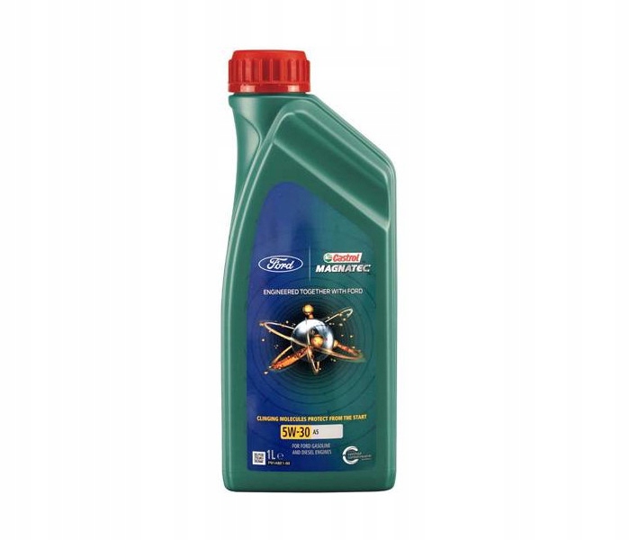 

Synt Olej Castrol 5W30 Magnatec Prof Ford A5 1L