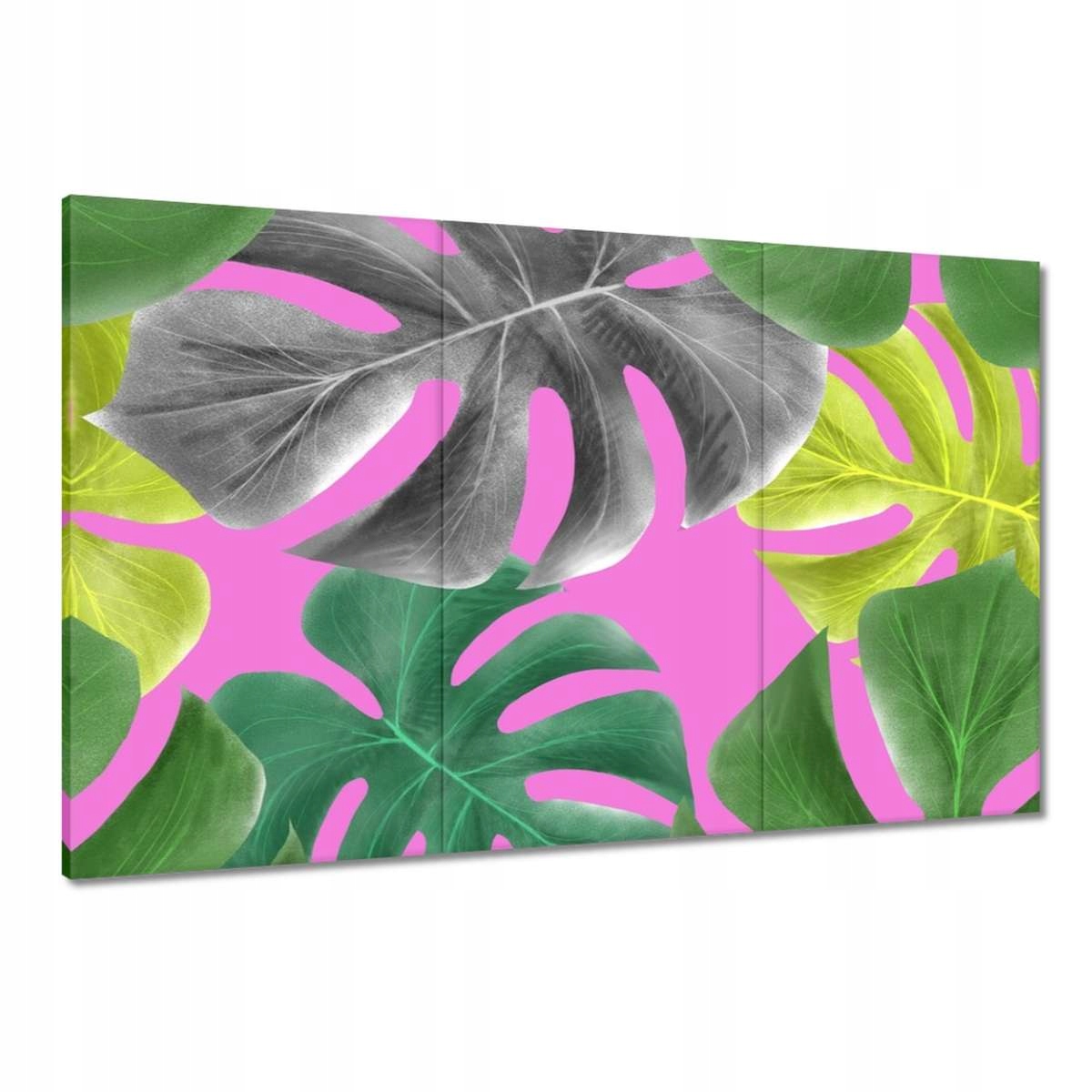 Obrazy 120x80 Listy Monstery