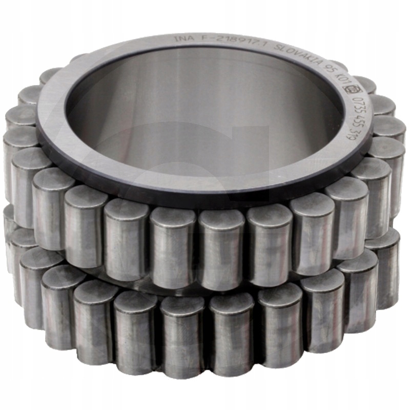 ZF Łożysko walcowe do napędu planetarnego