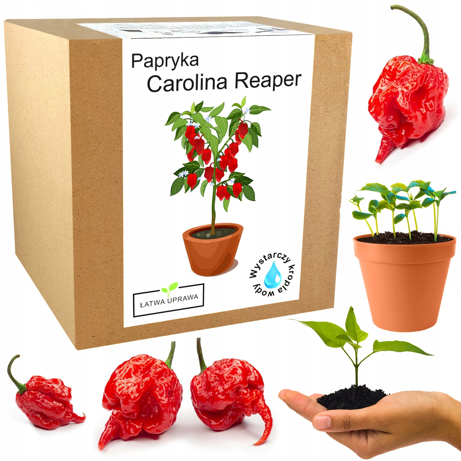 Zestaw do Uprawy Carolina Reaper HP22B Red nasiona (Carolina Reaper