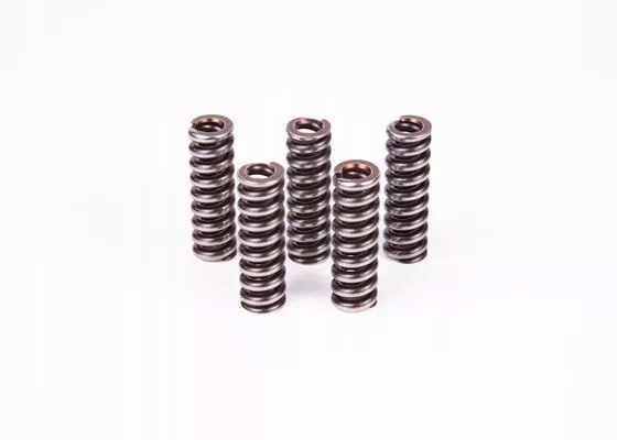 SPRĘŻYNA WTRYSKIWACZA