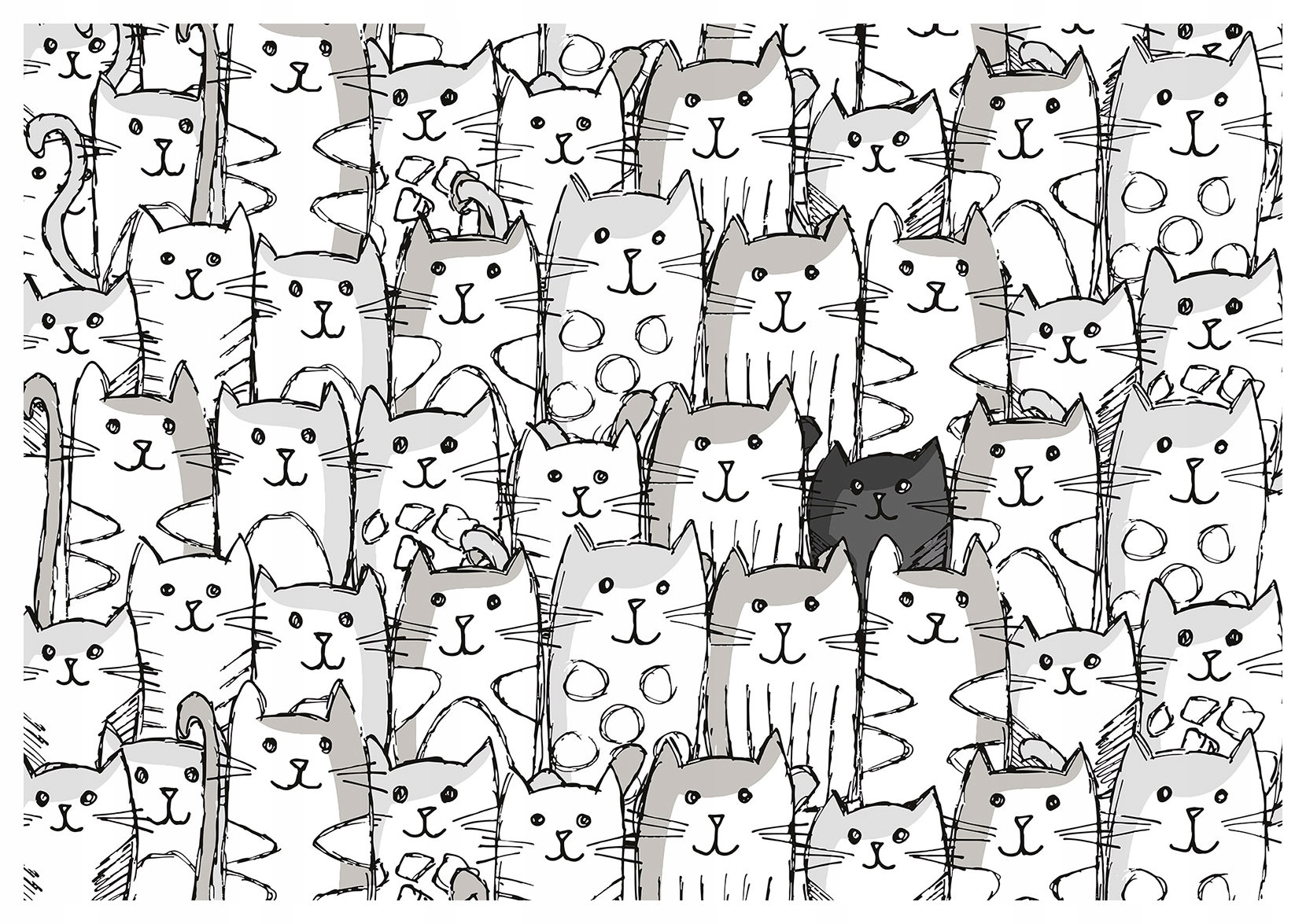 Fototapeta Černé a bílé kočky vzor do dětského pokoje 254x184 lepidlo