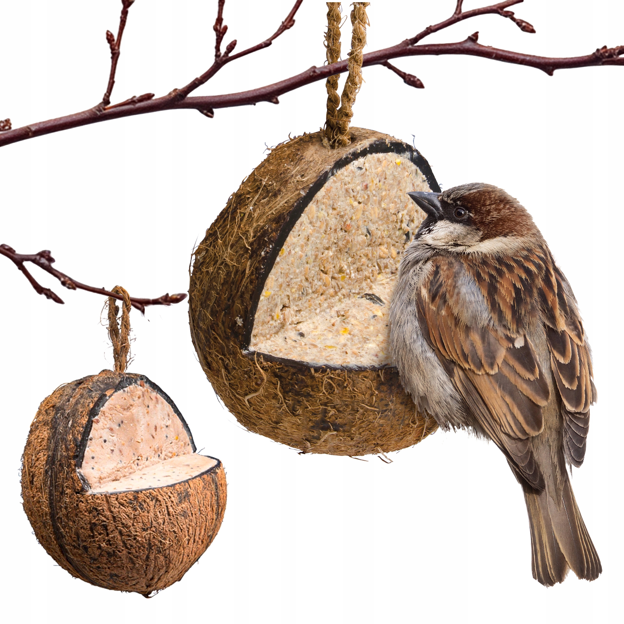 Kokosové 3/4 krmivo pro divoké ptáky, zimní tuková koule 0,3 kg