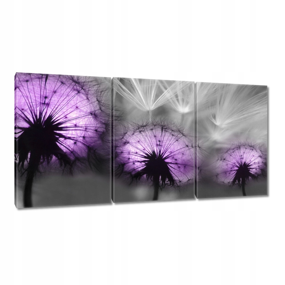 

Obrazy 120x60 Odbicie w wodzie Latawce