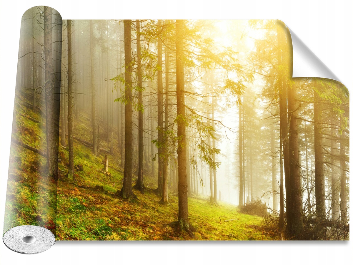 

Tapeta Samoprzylepna MagicStick Las 416x254