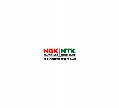 NGK SONDA LAMBDA OZA806-EE4 4-PRZEW DIAGN AUDI/