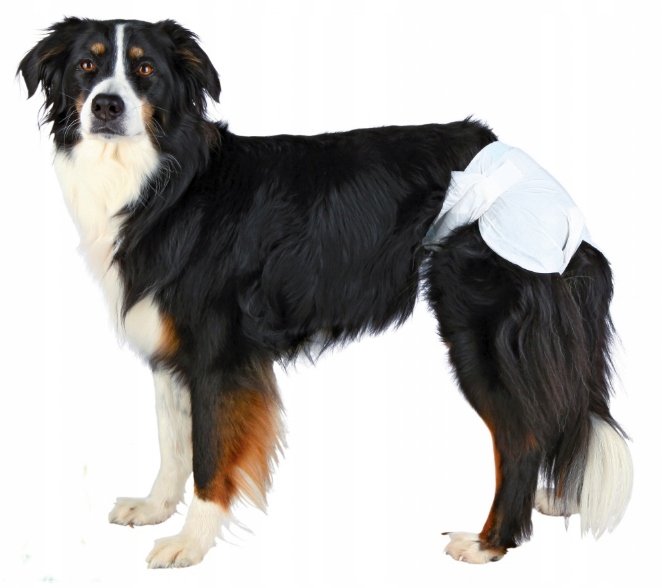 

Pieluchy pampersy psa suczki Barry 40-58 12szt XXL
