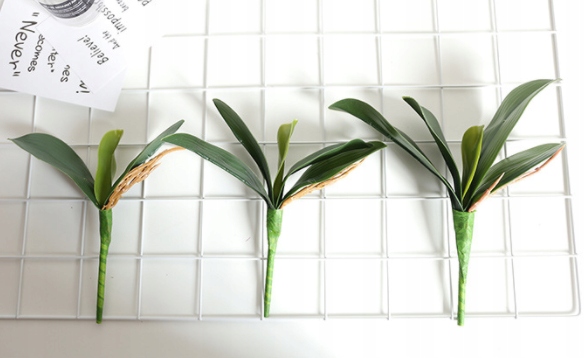 LIŚCIE STORCZYKA ORCHIDEI GUMOWE JAK ŻYWE STORCZYK ORCHIDEA REAL TOUCH 38cm Rodzaj liście