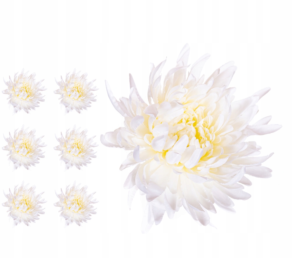 

Chryzantema Krab kremowo biała 6 sztuk wyrobowa