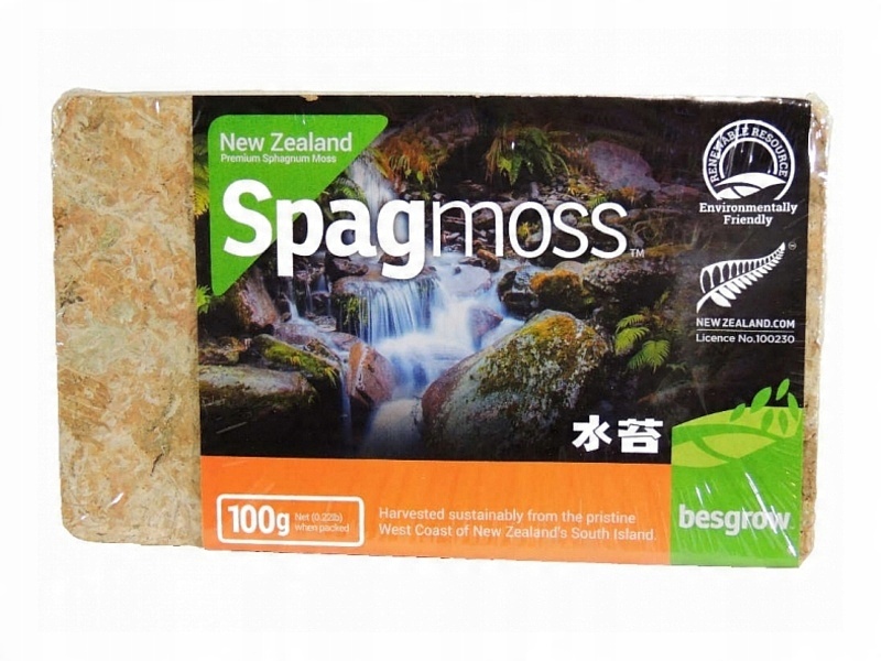 

Besgrow Mech SPAGmoss sphagnum 100g sprasowany Nz