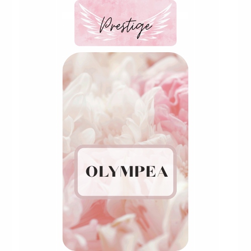 Vonný olej do difuzéru Prestige Olympea 100 ml