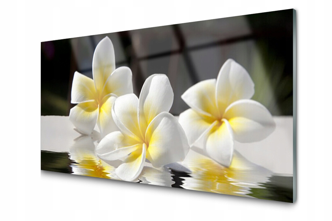 

Panel szklany dekor Kwiaty Roślina 140x70 + Klej
