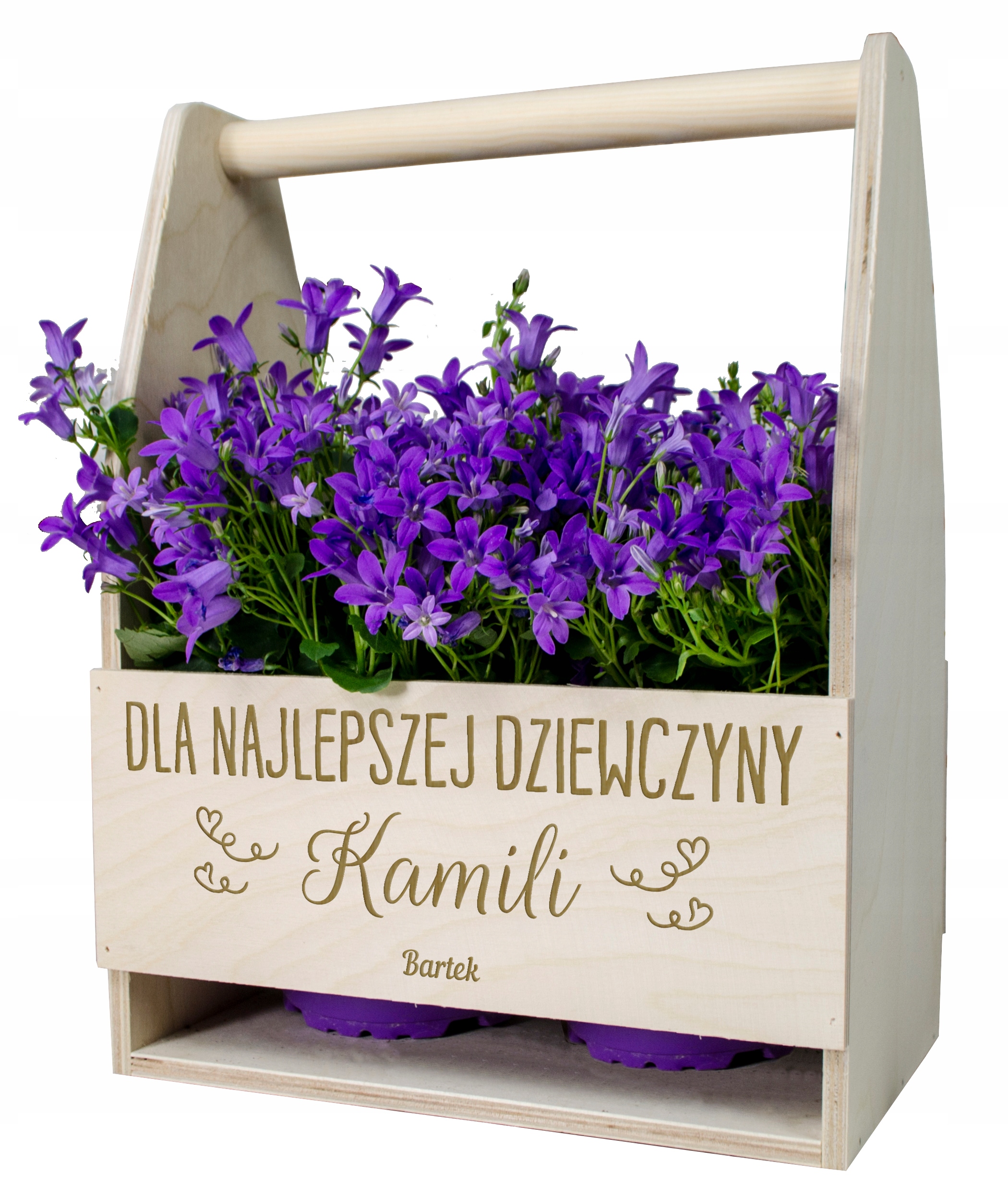 

Doniczka Skrzynka Na Kwiaty Dla Dziewczyny Kobiety