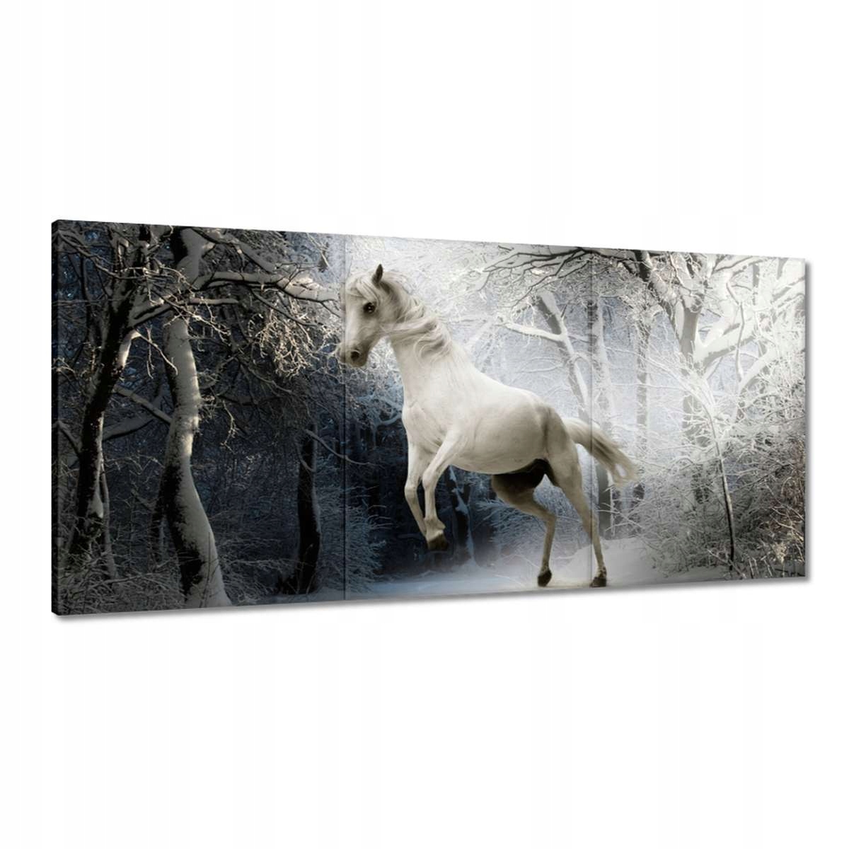 Obrazy 180x90 Biely rumak