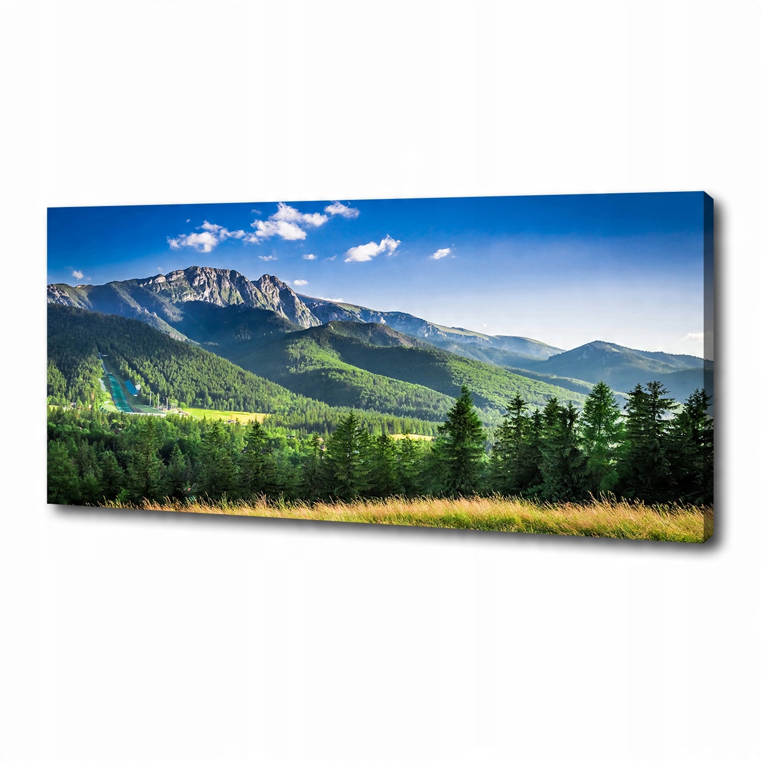 

Foto obraz na płótnie Skocznia w Tatrach 125x50 cm