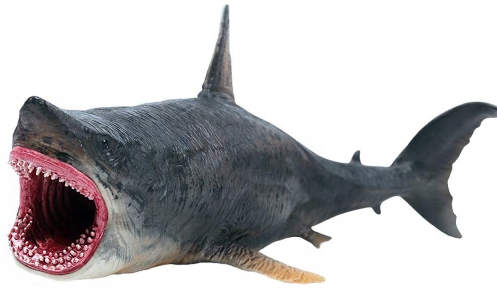 

Dinozaur Realistyczny Megalodon 26cm Jak Żywy