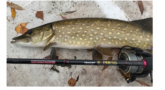 Wędka spinningowa Dragon Express Spinn Fast 7-25 g 126 cm - 245 cm Model Express Spinn Fast