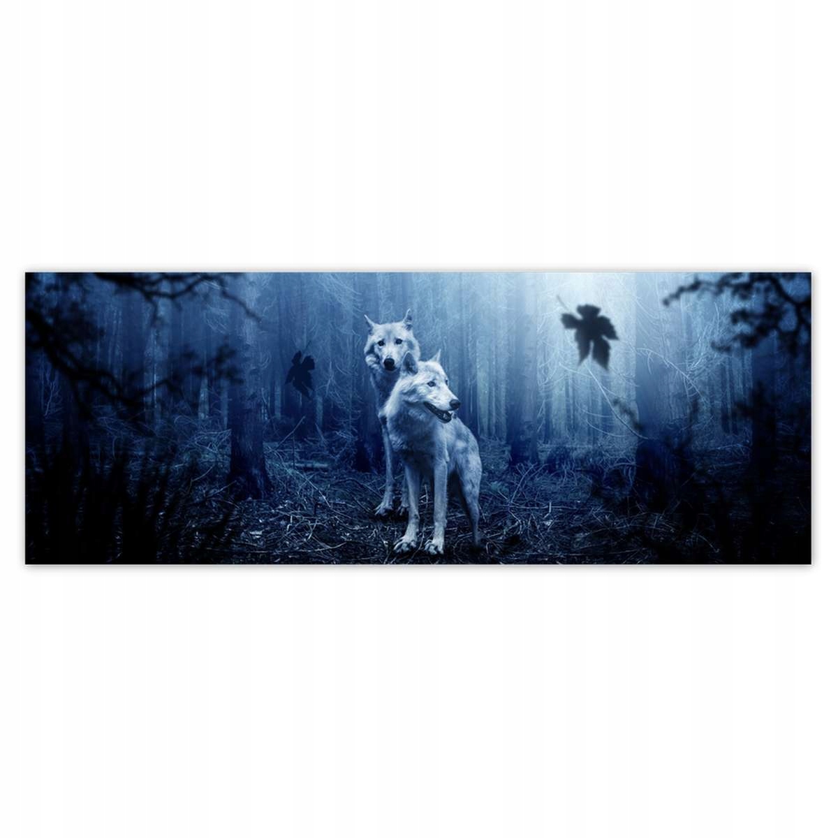 Fototapety 250x93 Vlci v modrém lese