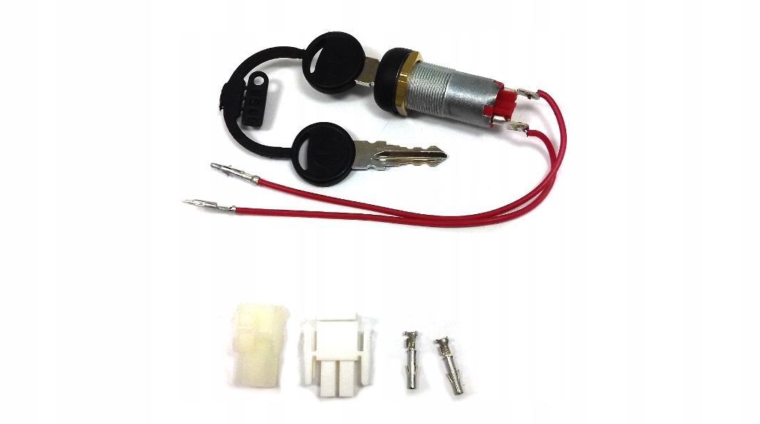 0053597 - замок зажигания e0053597 promag