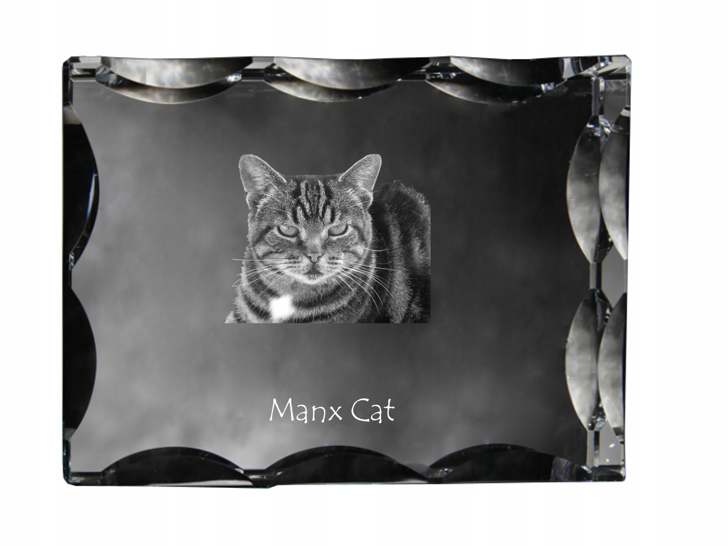 Mačka Manx fotografia v ozdobnom kryštáli, suvenír, dekorácia domu