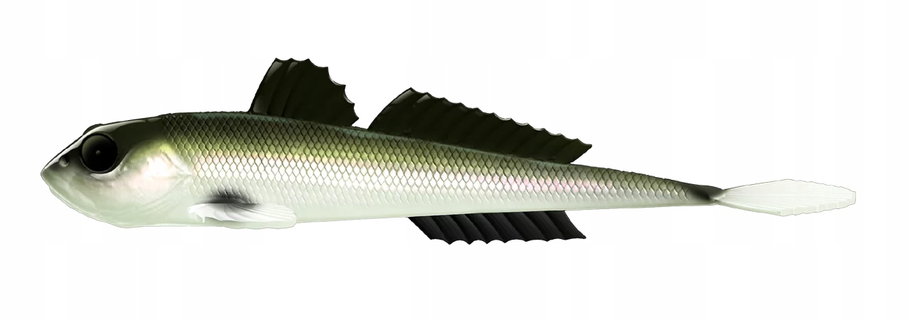 LIBRA LURES - GOBIO 7,3