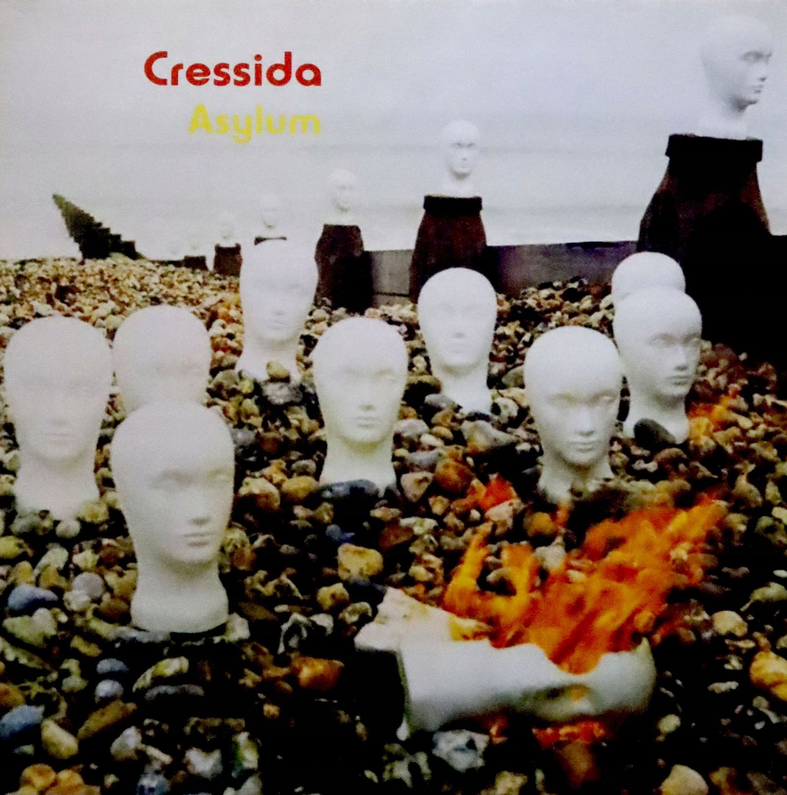 

Cressida: Asylum (white) (winyl)