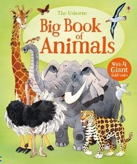 BIG BOOK OF ANIMALS HAZEL MASKELL