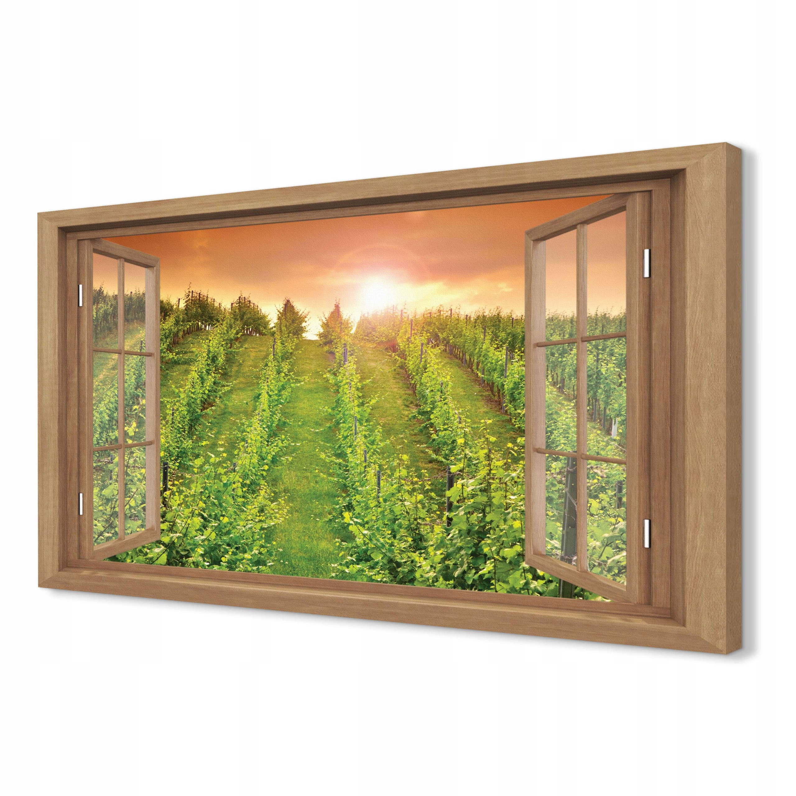 

Obraz na płótnie 3d 120x80 Winnica zachód widok