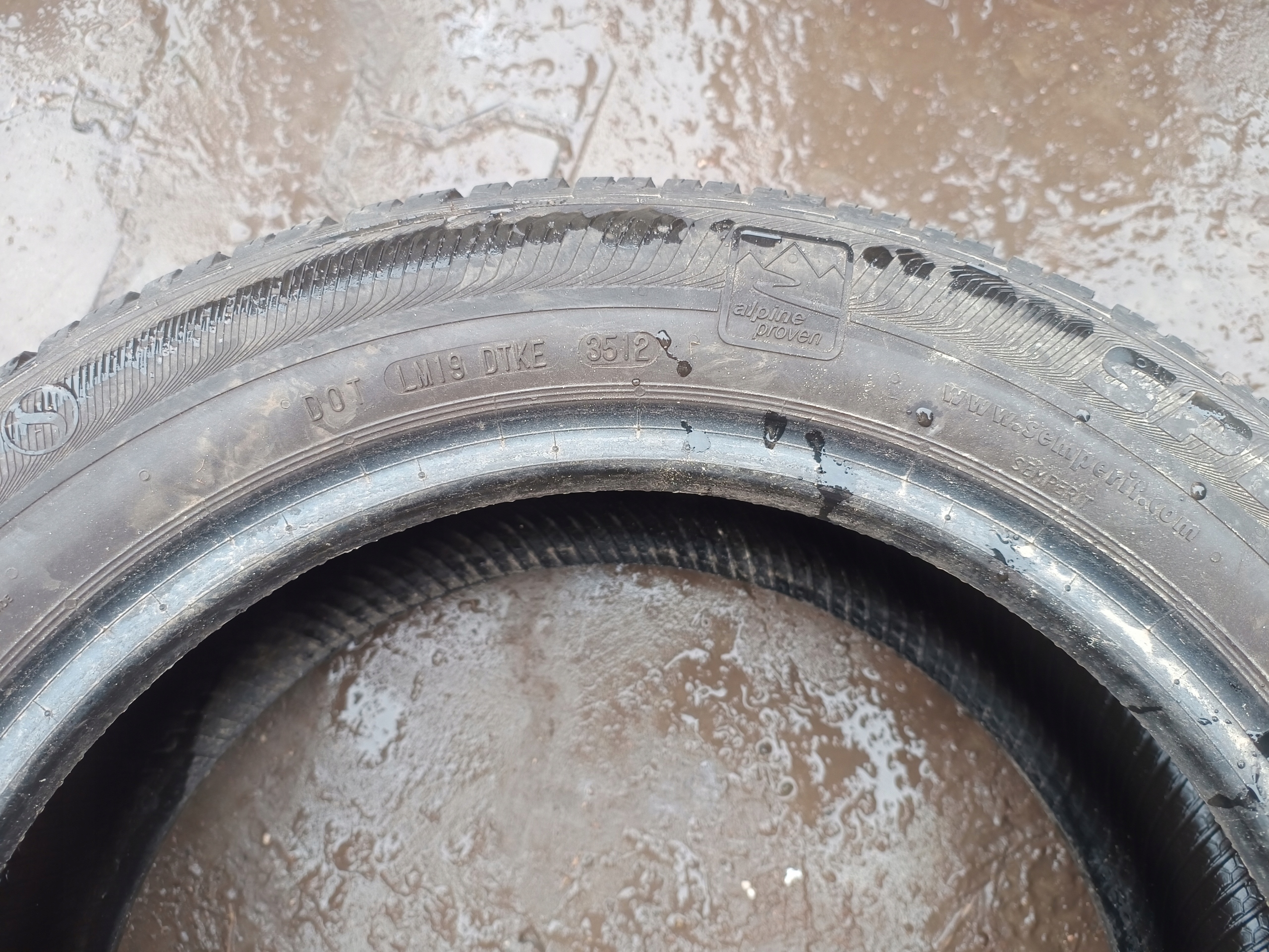 4x Semperit Speed - Grip 2 195/55/16 Szerokość opony 195 mm