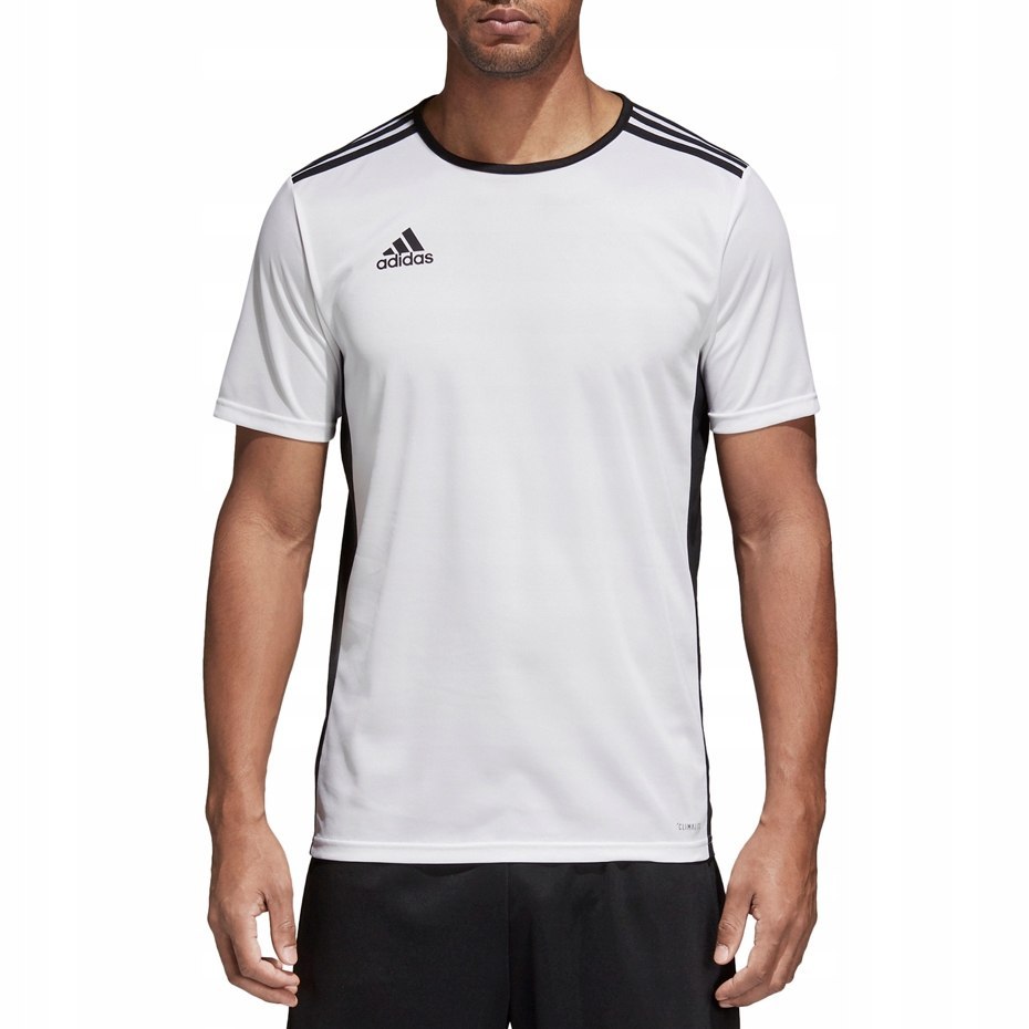 KOSZULKA SPORTOWA ADIDAS ENTRADA 18 CD8438 R 152 Rękaw krótki rękaw