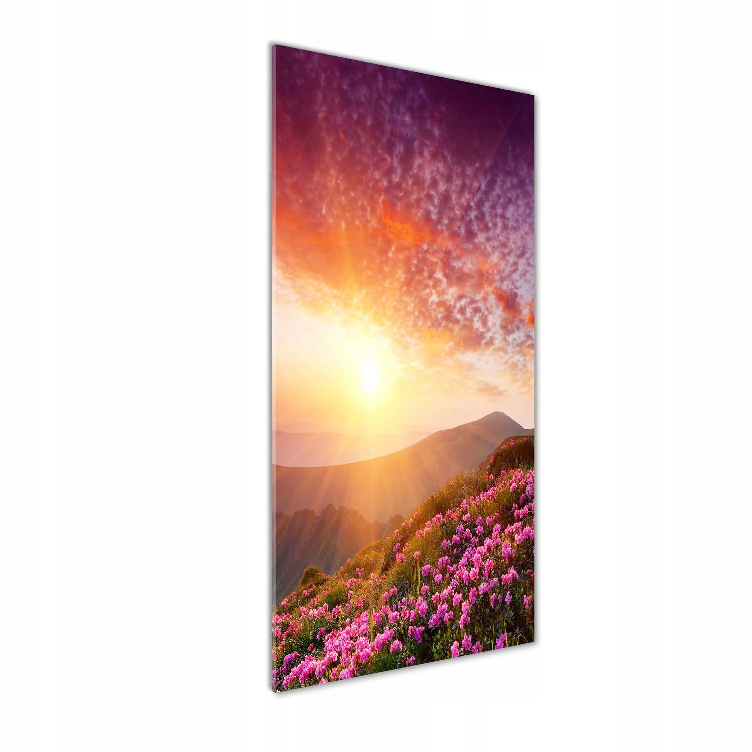

Foto obraz na szkle pionowy Wiosna w górach 50x125